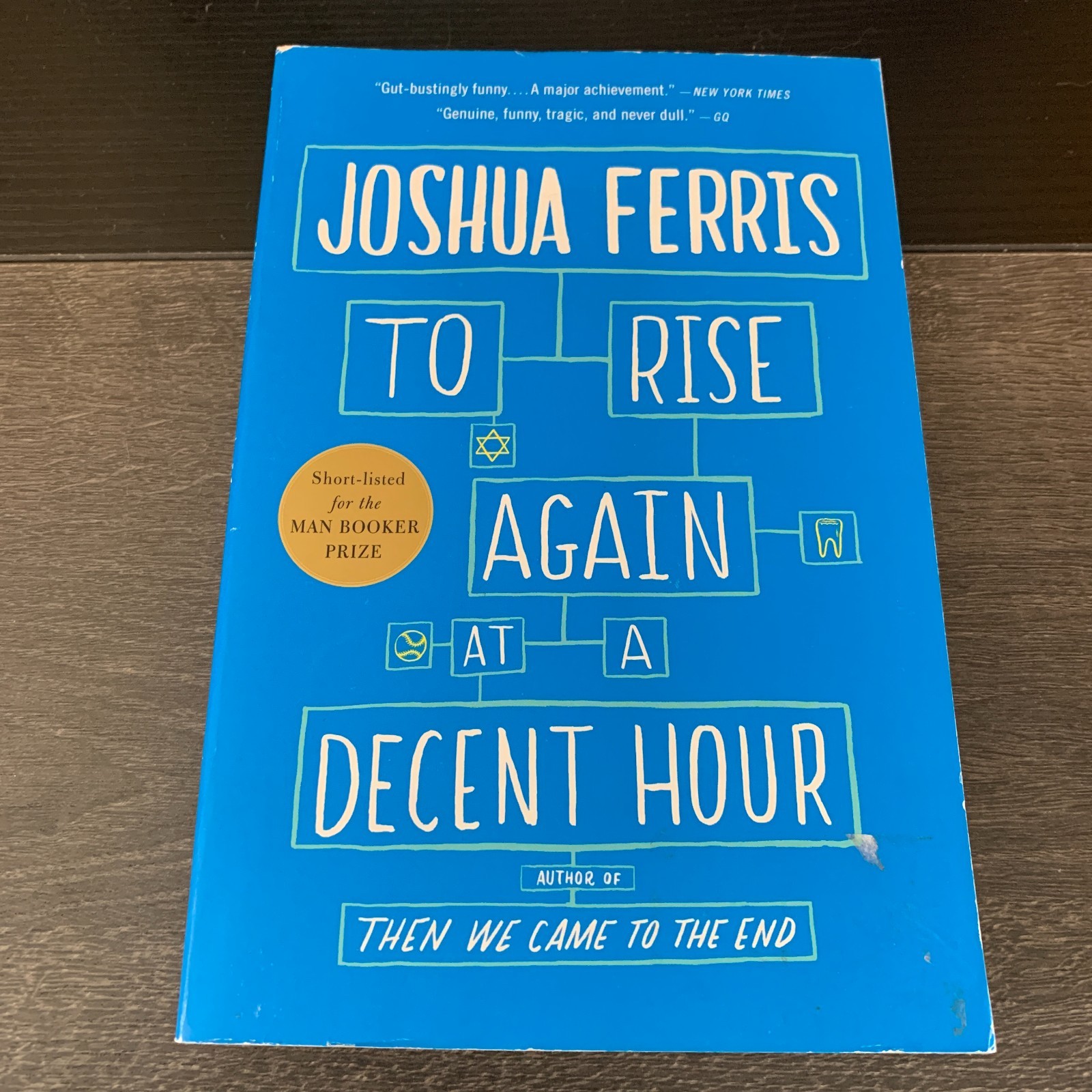 To Rise Again at a Decent Hour by Joshua Ferris 2015 First Trade PB Fiction
