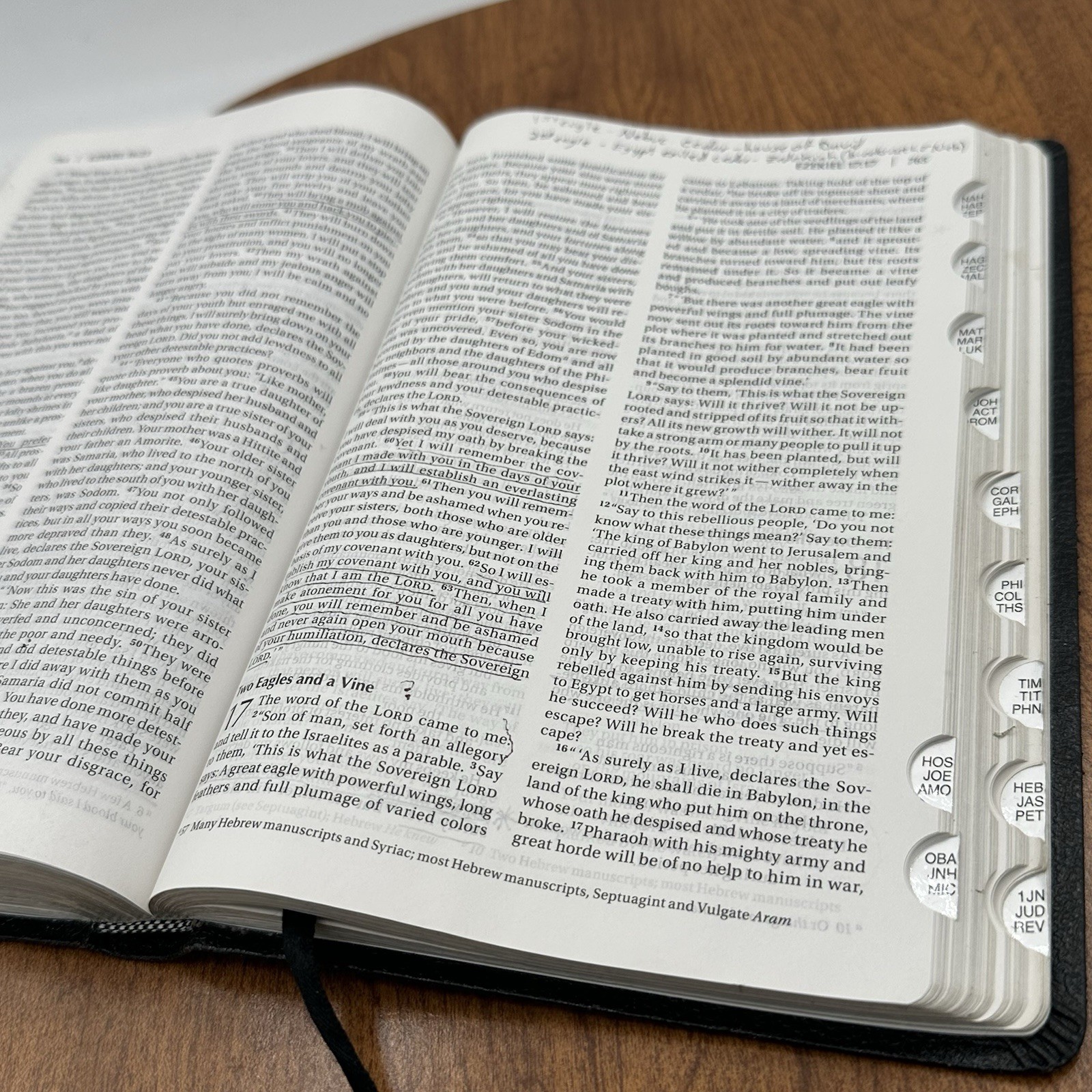 NIV Thinline Bible Bonded Leather Black Red Letter Edition Zondervan *used Notes
